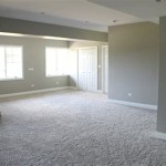 Best Carpet For Basement Floor