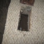 Musty Basement Smell Coming Through Vents In House