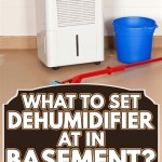 Should You Run A Dehumidifier In Your Basement The Winter